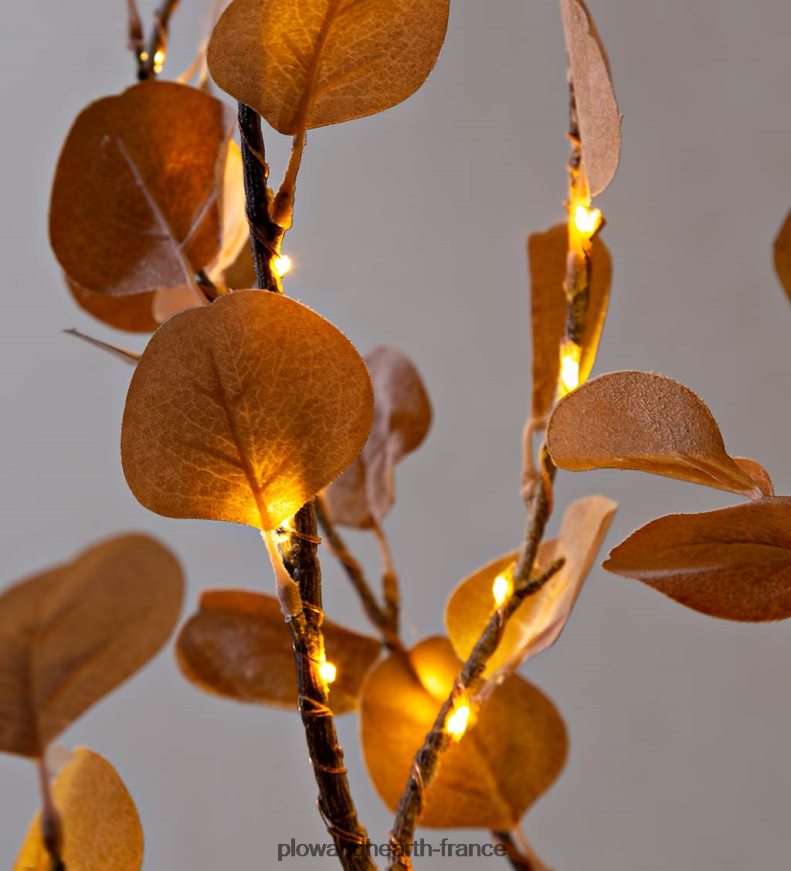 Arbre dollar en argent rose éclairé électrique intérieur/extérieur, 7'h avec 270 lumières - rose Plow & Hearth 8642F63215 saisonniers et cadeaux