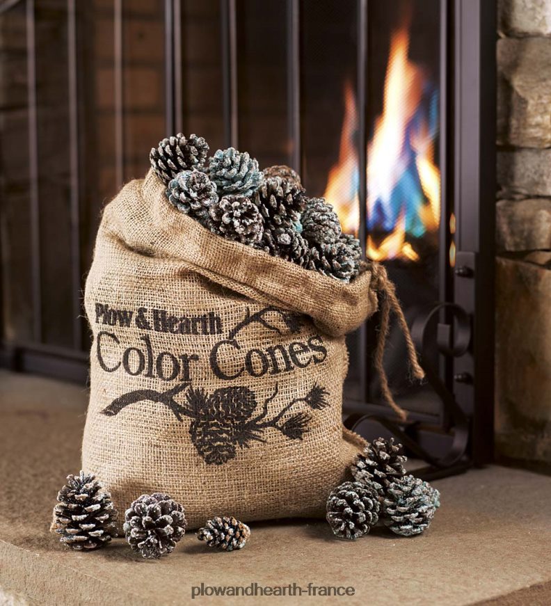 Cônes de couleur de cheminée aux couleurs changeantes, sac de 2 lb Plow & Hearth 8642F62997 saisonniers et cadeaux