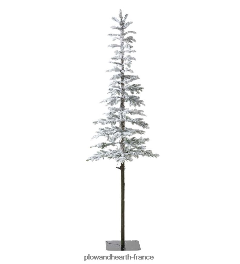Sapin de Noël alpin floqué Monte Rosa de 6' avec 150 LED blanc chaud Plow & Hearth 8642F63232 saisonniers et cadeaux