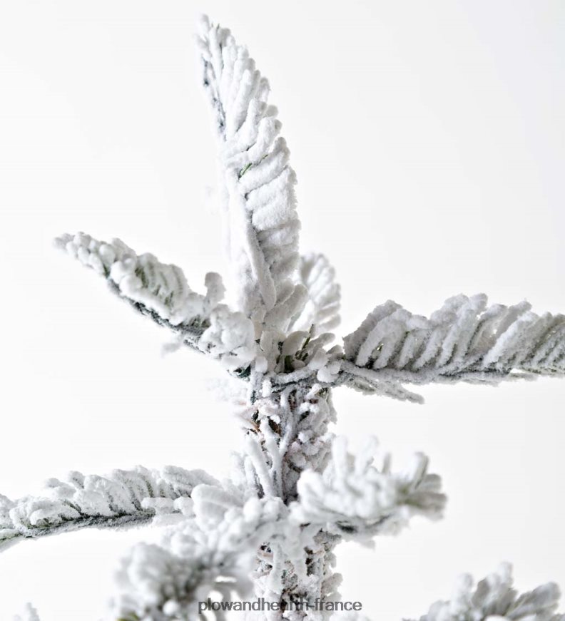 Sapin de Noël alpin floqué Monte Rosa de 6' avec 150 LED blanc chaud Plow & Hearth 8642F63232 saisonniers et cadeaux