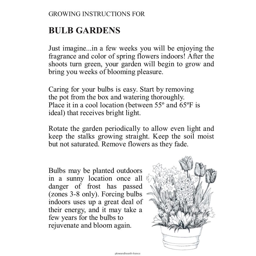 bulbe de fleur hollandais parfumé cadeau de vacances jardin Plow & Hearth 8642F62999 saisonniers et cadeaux