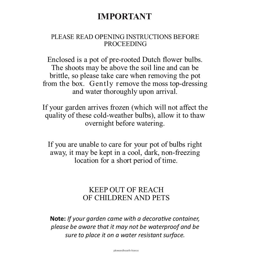 bulbe de fleur hollandais parfumé cadeau de vacances jardin Plow & Hearth 8642F62999 saisonniers et cadeaux