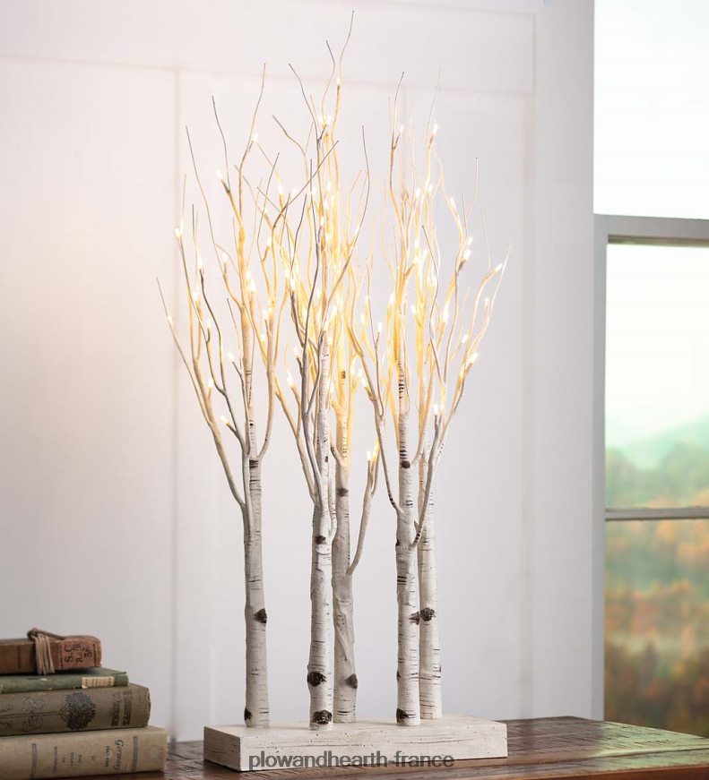 accent d'arbre de ligne de bouleau éclairé Plow & Hearth 8642F62220 saisonniers et cadeaux