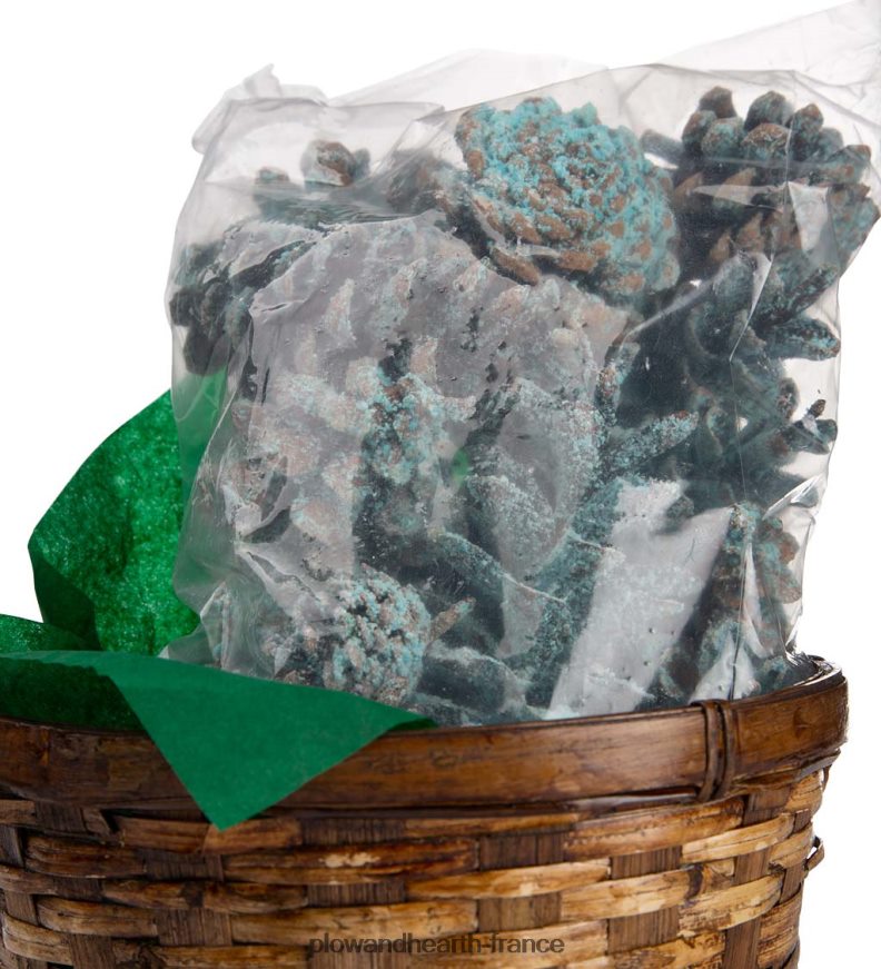 Cônes de couleur de cheminée aux couleurs changeantes, 1 lb dans un panier-cadeau Plow & Hearth 8642F63252 saisonniers et cadeaux