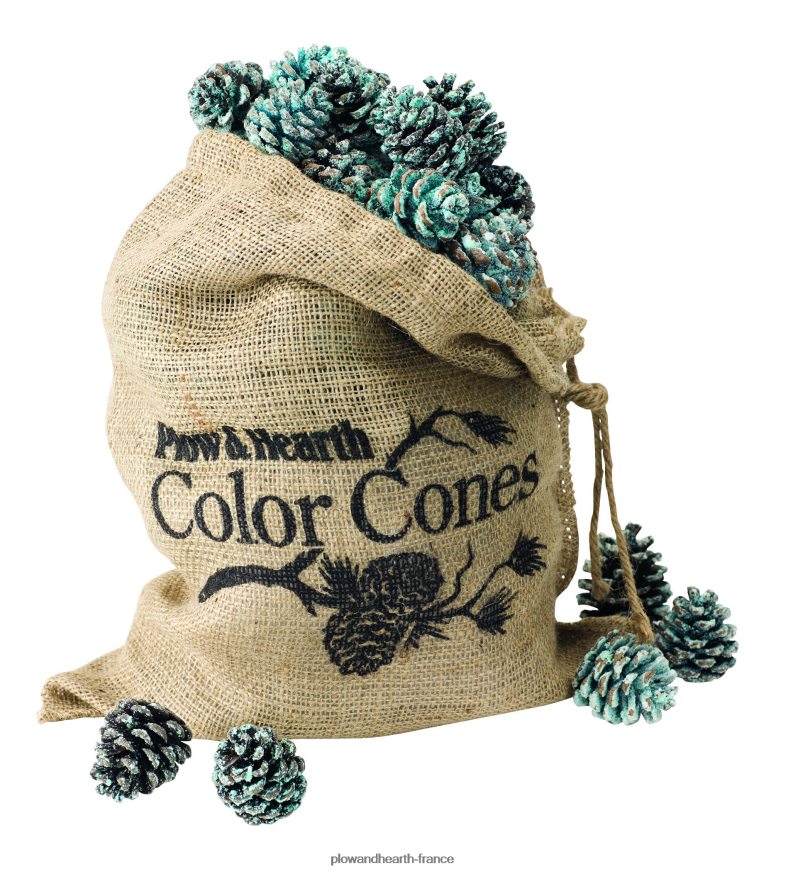 Cônes de couleur de cheminée aux couleurs changeantes, 1 lb dans un panier-cadeau Plow & Hearth 8642F63252 saisonniers et cadeaux