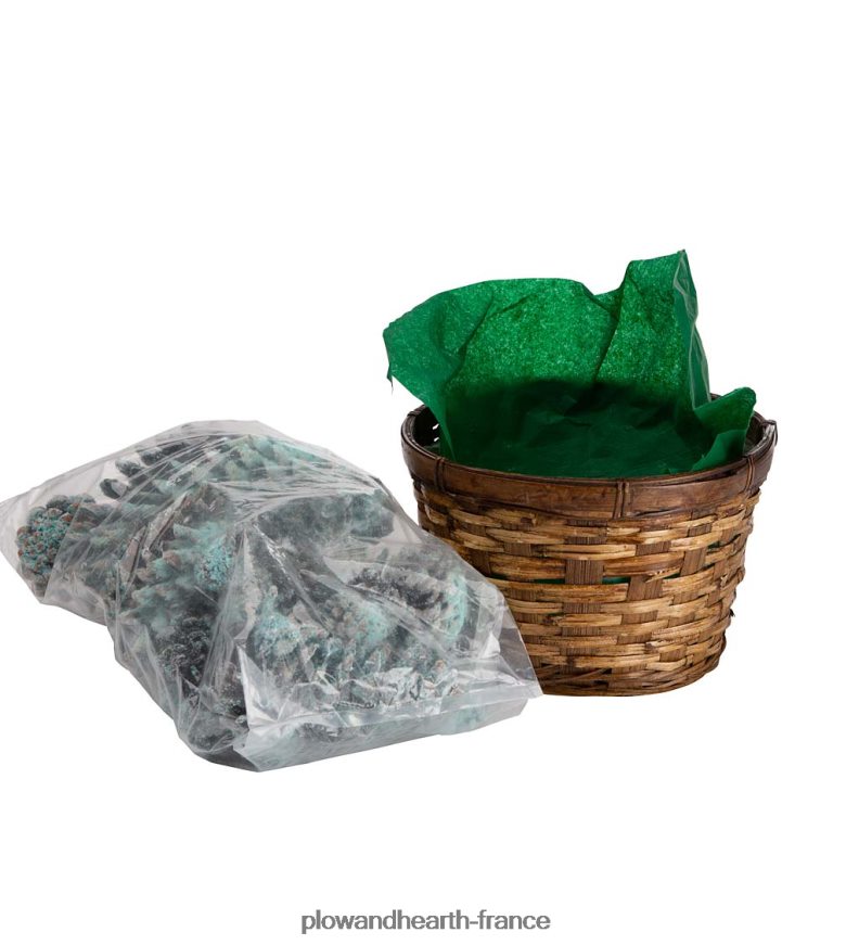 Cônes de couleur de cheminée aux couleurs changeantes, 1 lb dans un panier-cadeau Plow & Hearth 8642F63252 saisonniers et cadeaux