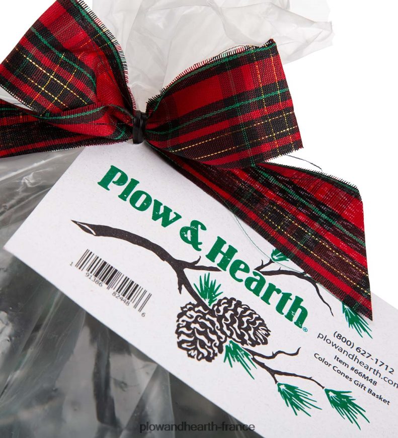 Cônes de couleur de cheminée aux couleurs changeantes, 1 lb dans un panier-cadeau Plow & Hearth 8642F63252 saisonniers et cadeaux