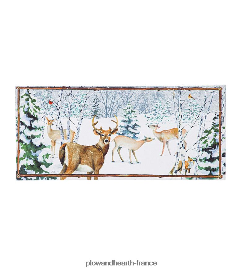 tapis d'interrupteur sassafras murmure de l'hiver Plow & Hearth 8642F61931 tapis et nattes