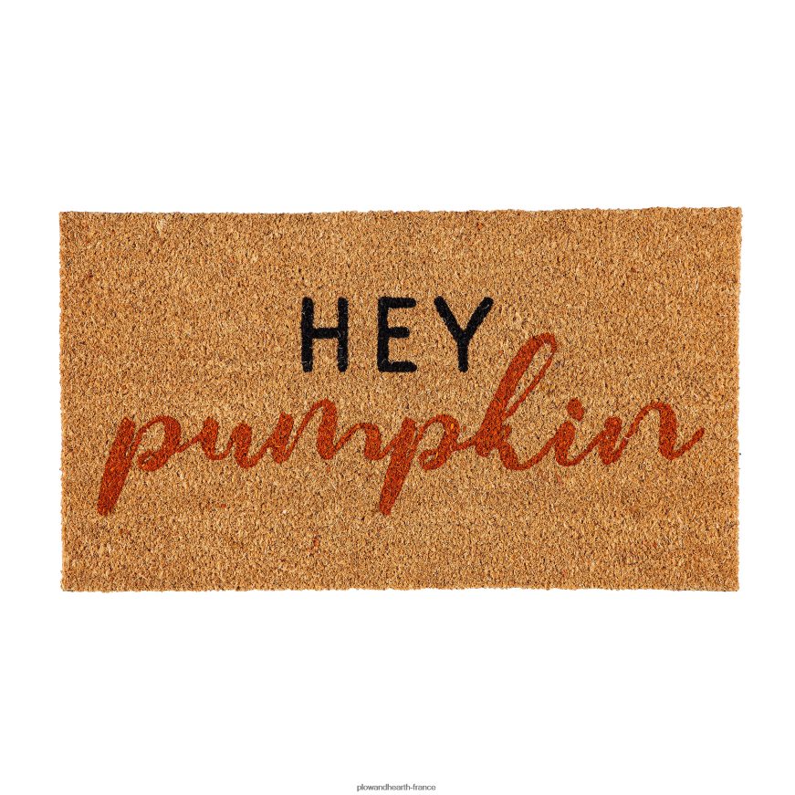 Hé, tapis et plateau en fibre de coco citrouille Plow & Hearth 8642F61955 tapis et nattes