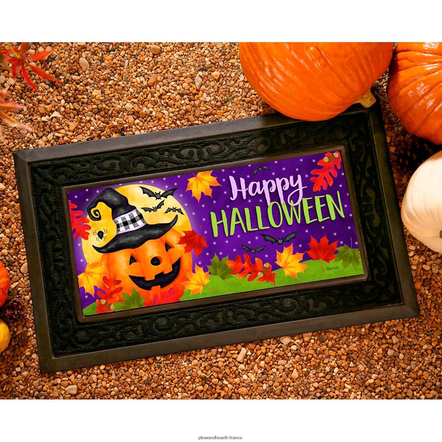 tapis de commutation Jolly Jack Sassafras Plow & Hearth 8642F61524 tapis et nattes