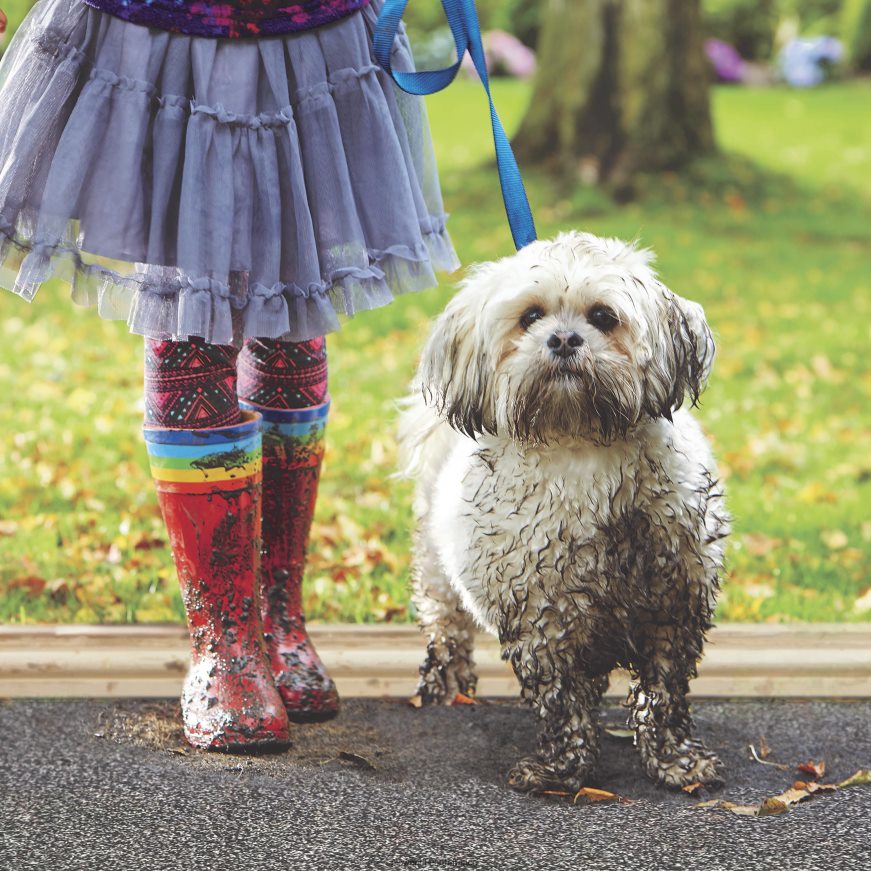 tapis de boue anti-saleté my mat, 31 x 59 - café Plow & Hearth 8642F63224 tapis et nattes