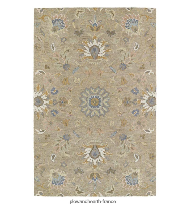 Tapis en laine de vigne florale de prairie beige Plow & Hearth 8642F61875 tapis et nattes