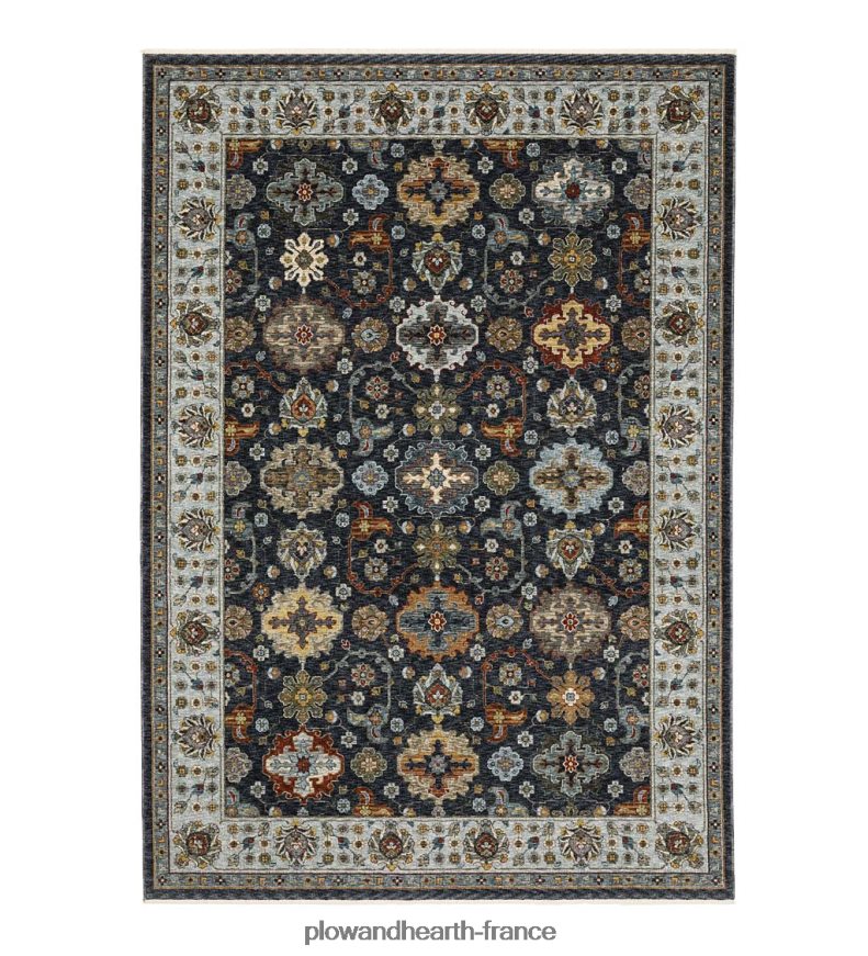 Tapis traditionnel en polyester Alexandrie Plow & Hearth 8642F61819 tapis et nattes